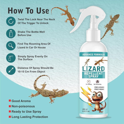 Lizard Repellent Spray for Home – 100% natural & Non-toxic Pest Control 250ML (Pack of 2)